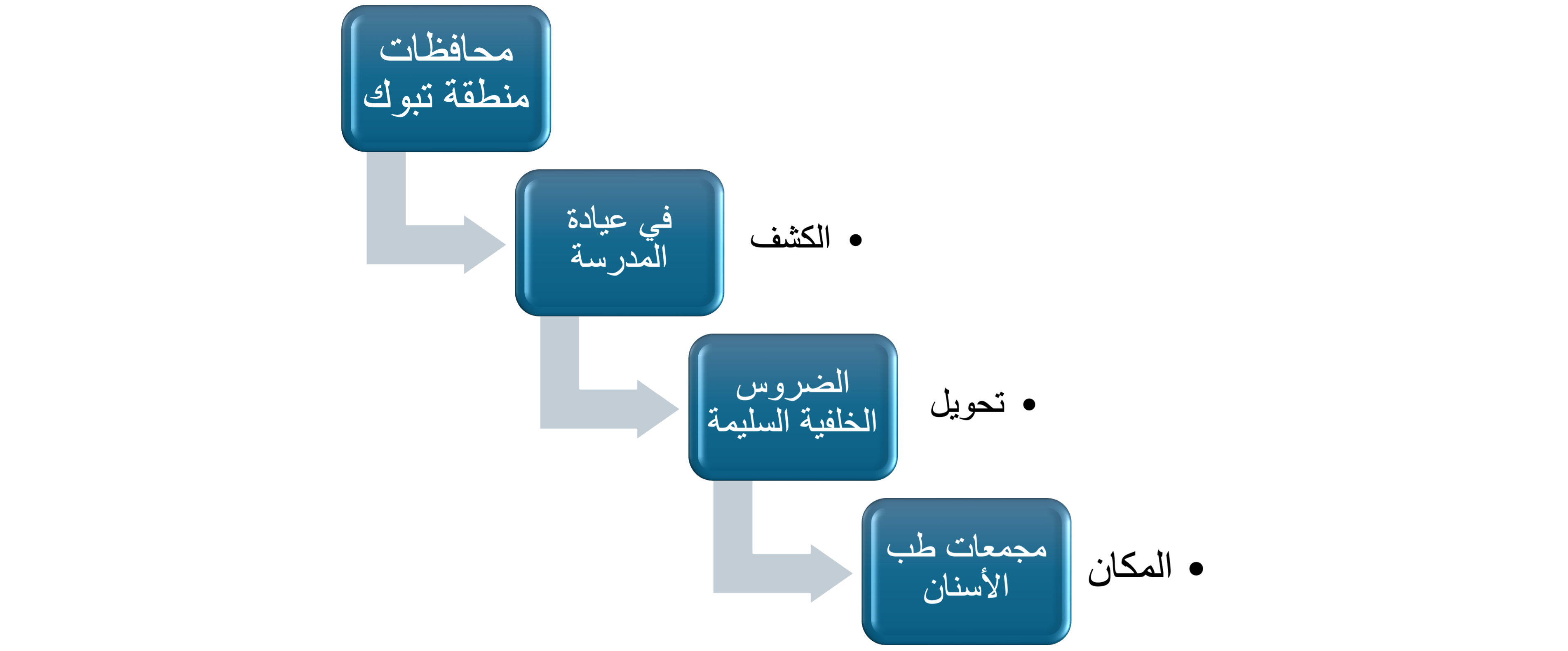 صورة إضافية لمبادرة سدادات الحفر والشقوق